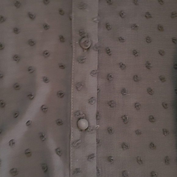 Textured Button-Front Ruffle Collar Blouse - Picture 5 of 10